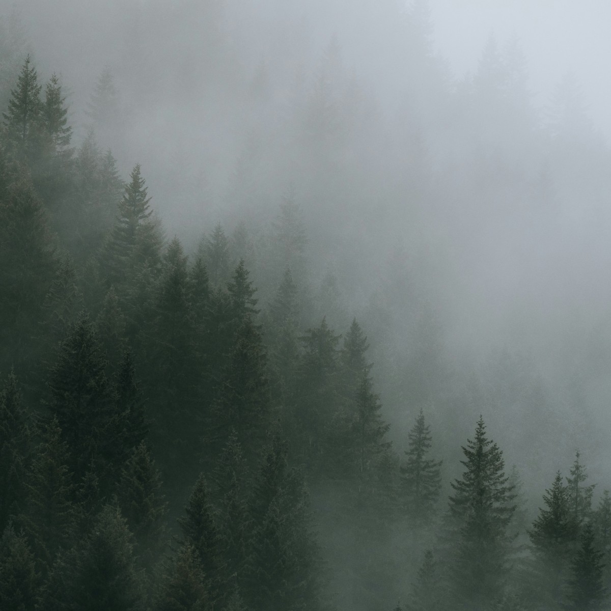 Painting of a beautiful mountain vista with layered hills in the background illustrating nested mental health counseling